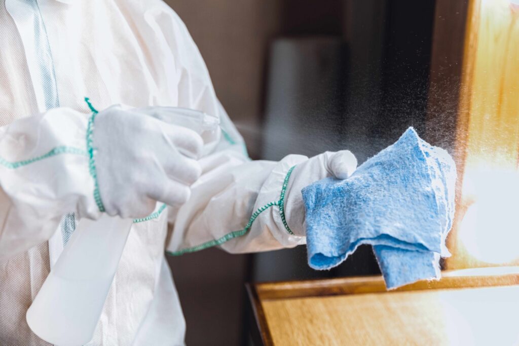 Professional Cleanup Services for a Pristine Home