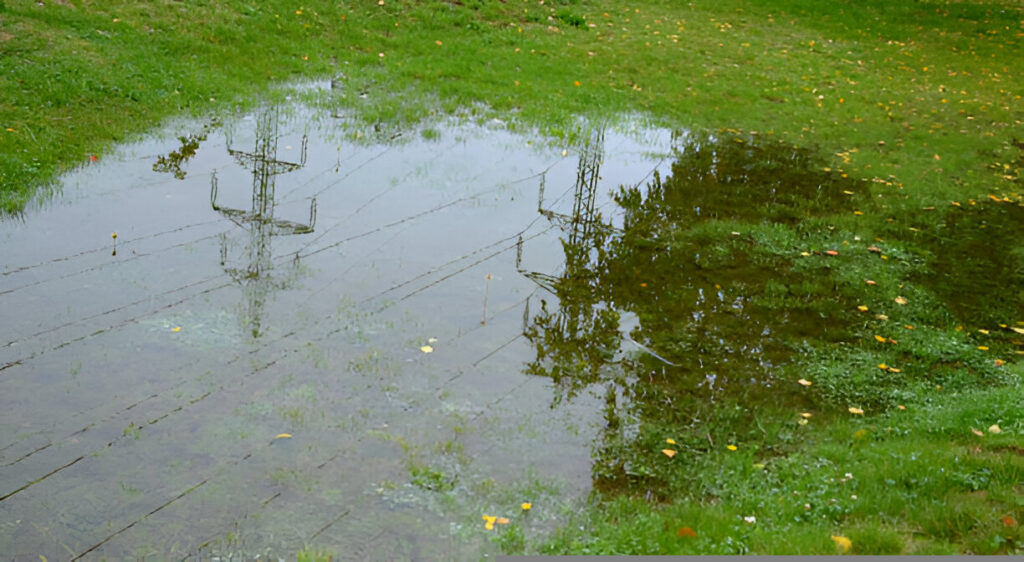 get rid of standing water in sarasota