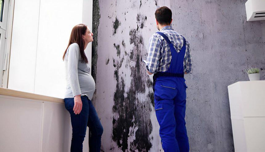 The Hidden Dangers of Mold in Your Bradenton Home