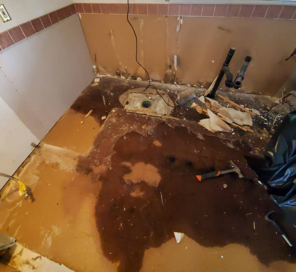 Our Process for Water Damage Restoration in Siesta Key