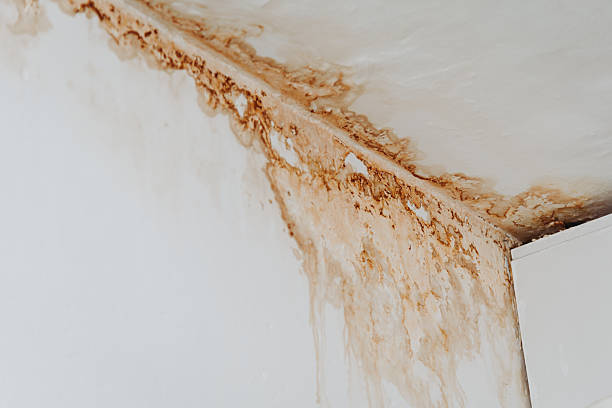 Get Help Now for Water Damage Restoration in Siesta Key