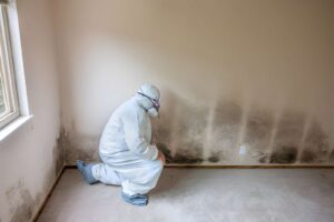 cdc's new mold study clearly explained.
