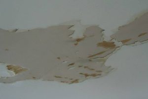 ceiling water damage in Bradenton
