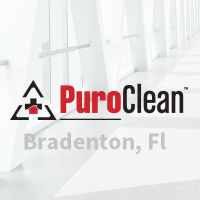 Why Choose PuroClean Property Damage Mitigation Services in [metro_area]