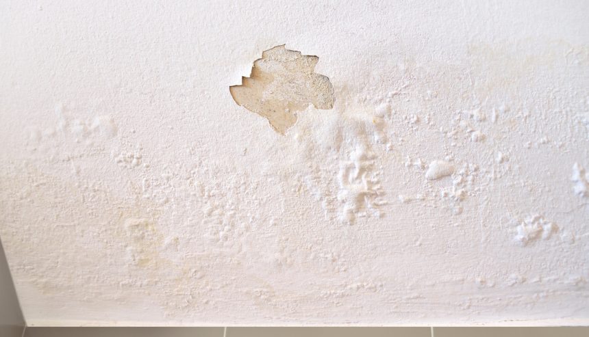 Water Damage in the wall of a Lakewood Ranch Home #lakewoodranch