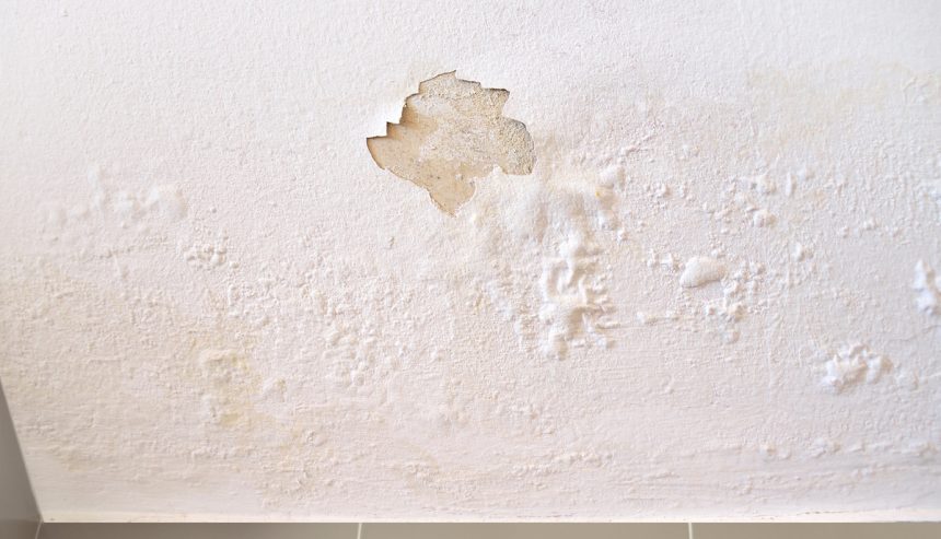 How To Tell If Water Damage Is Old Or