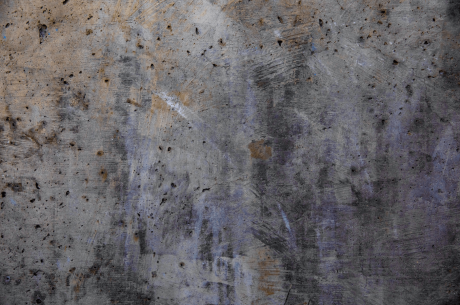 mold inspection Bradenton fl