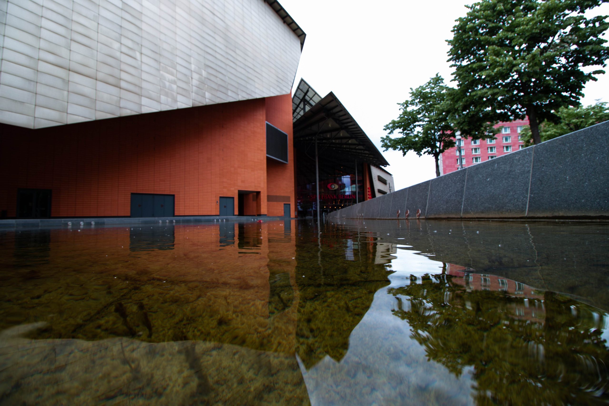 Effective Removal Strategies for Standing Water