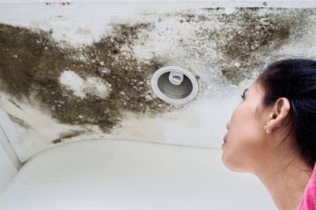 Hazards of Mold