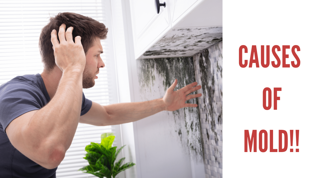 causes of mold