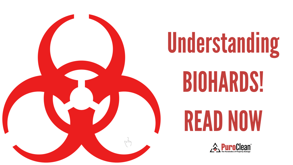 Understanding the Role of Professional Biohazard Cleanup Services