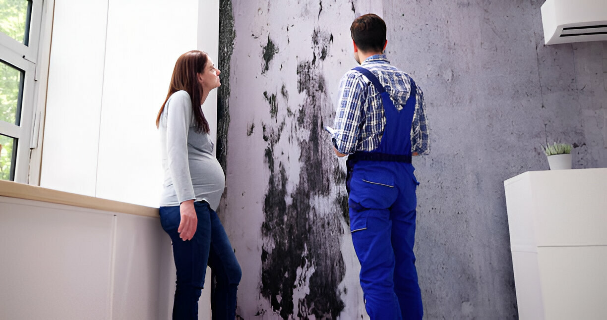 The Hidden Threat: How Mold Can Negatively Impact Real Estate Value and What Real Estate Professionals Can Do 