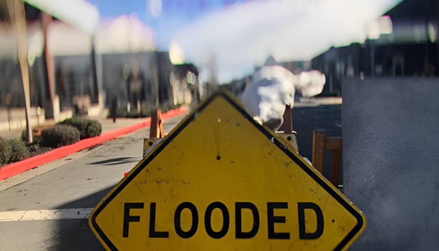 minimize water damage from Hurricane Helene