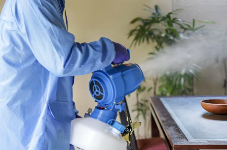 disinfectant fogging