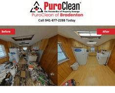 Hoarding in Bradenton Cleanup