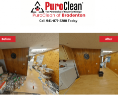 Hoarding house cleaning