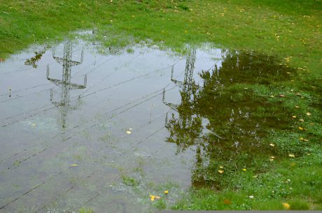 get rid of standing water in sarasota