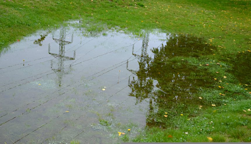 get rid of standing water in sarasota