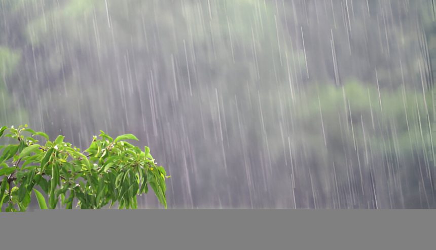 water damage after rain in sarasota