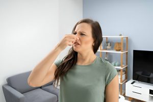 odor remediation after a flood