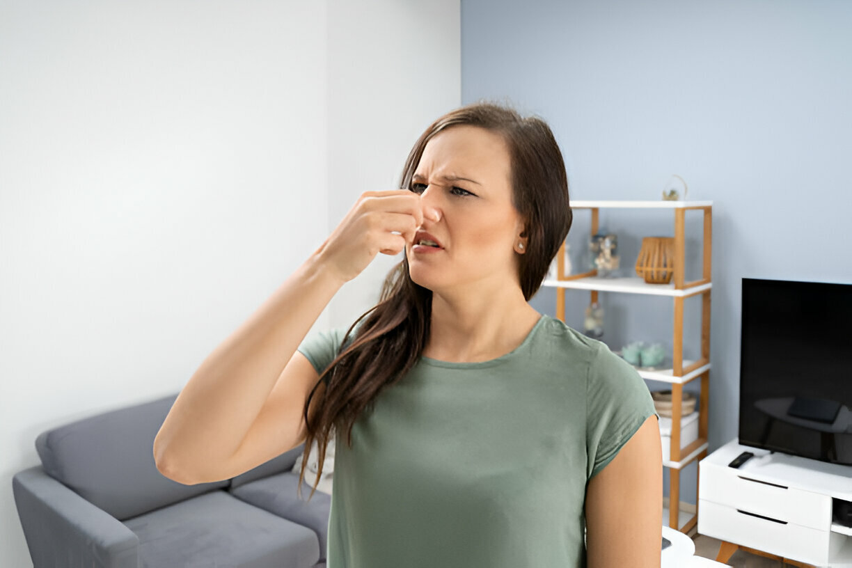 Odor Remediation After a Flood: What Works and What Doesn’t