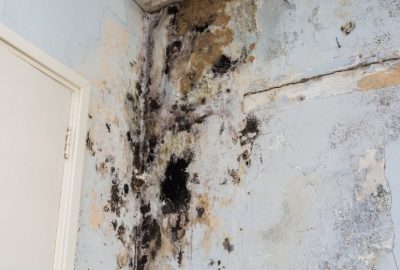 How Much Does It Cost To Remove Water from Walls