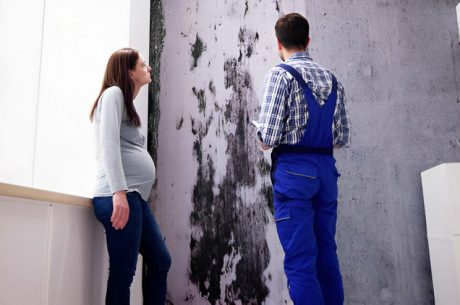 The Hidden Dangers of Mold in Your Bradenton Home