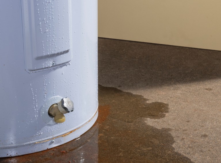 Additional Tips for Handling a Flooded Basement in Bradenton