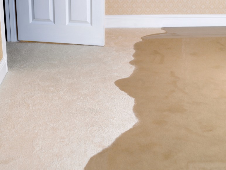 Mini FAQs About Water Damage Restoration