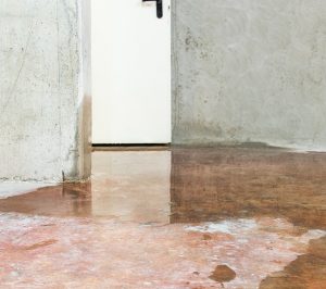 What's the Best Way to Get Water Out of a Flooded Basement in Bradenton