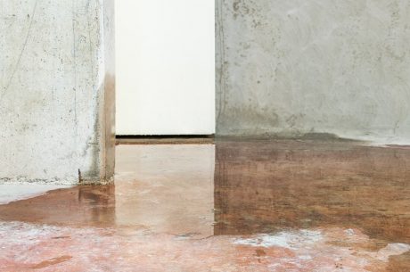 What's the Best Way to Get Water Out of a Flooded Basement in Bradenton