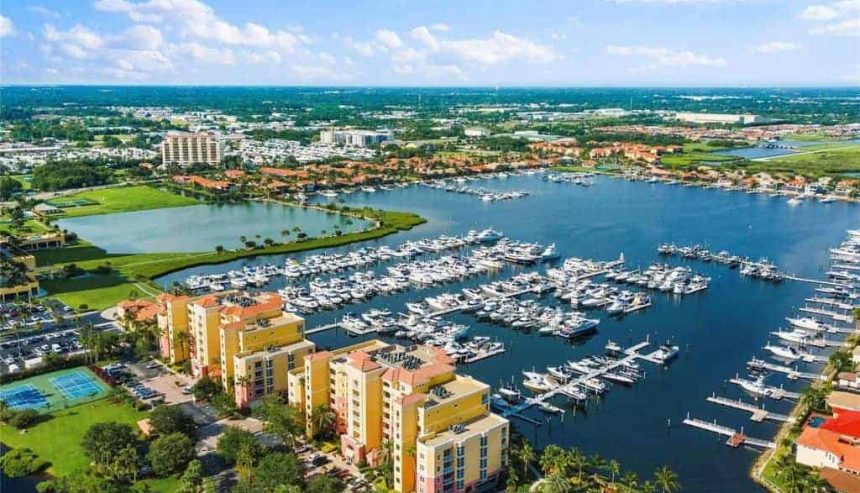 water and mold cleanup services in palmetto