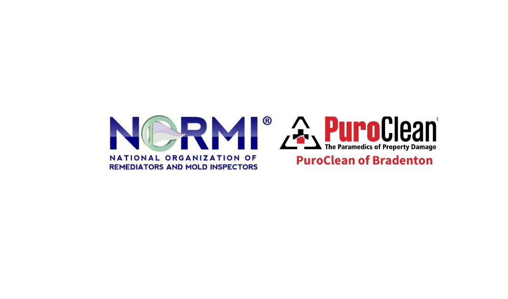 Your Home Might Be Making You Sick.​​‌‌ Our PuroClean Is Exclusively Certified in Medically-Backed Remediation. It’s A Whole New Level. 