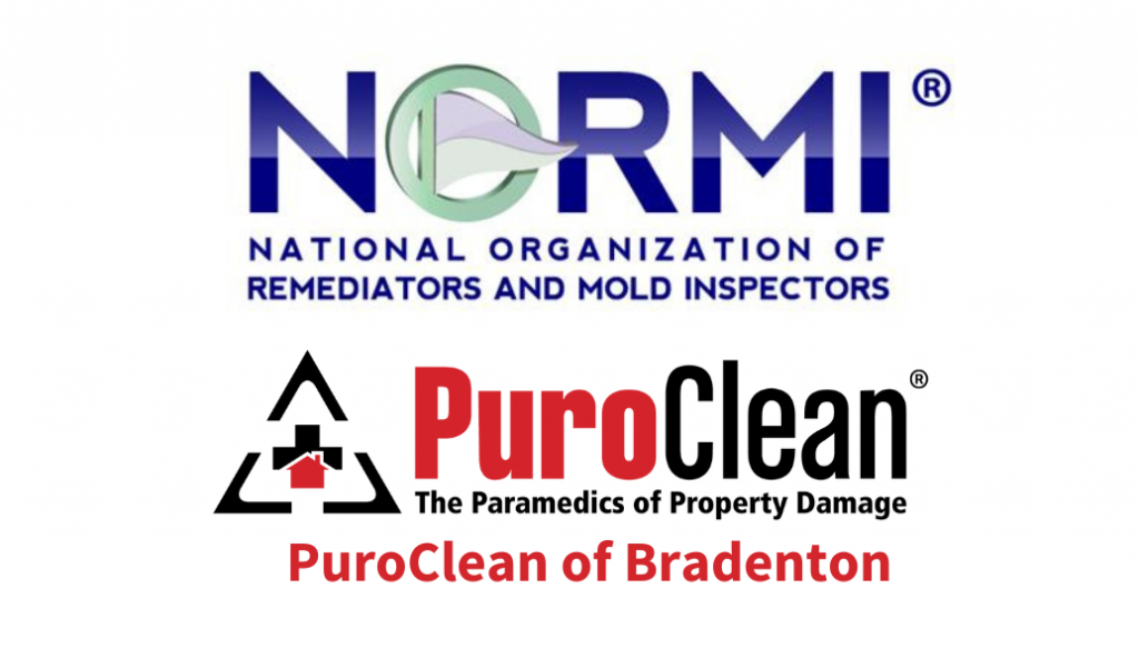 mergency biohazard cleanup near me