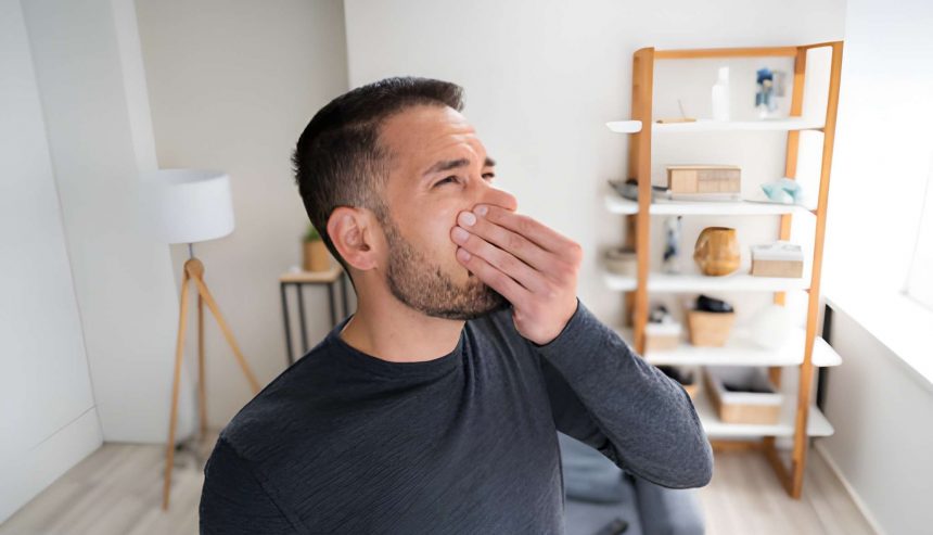 House Still Smells Musty After Mold Remediation