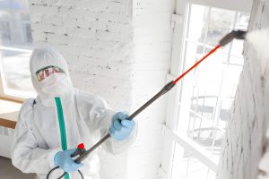 Mold Remediation to Get Rid of Biotoxins