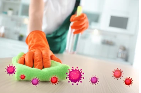 Hidden biohazard contamination revealed during trauma cleanup services Bradenton property inspection