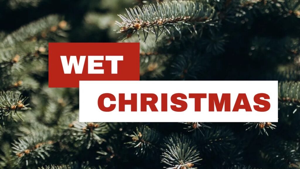 Evergreen background with text “Wet Christmas” — representing burst pipes and flooding during the holidays.