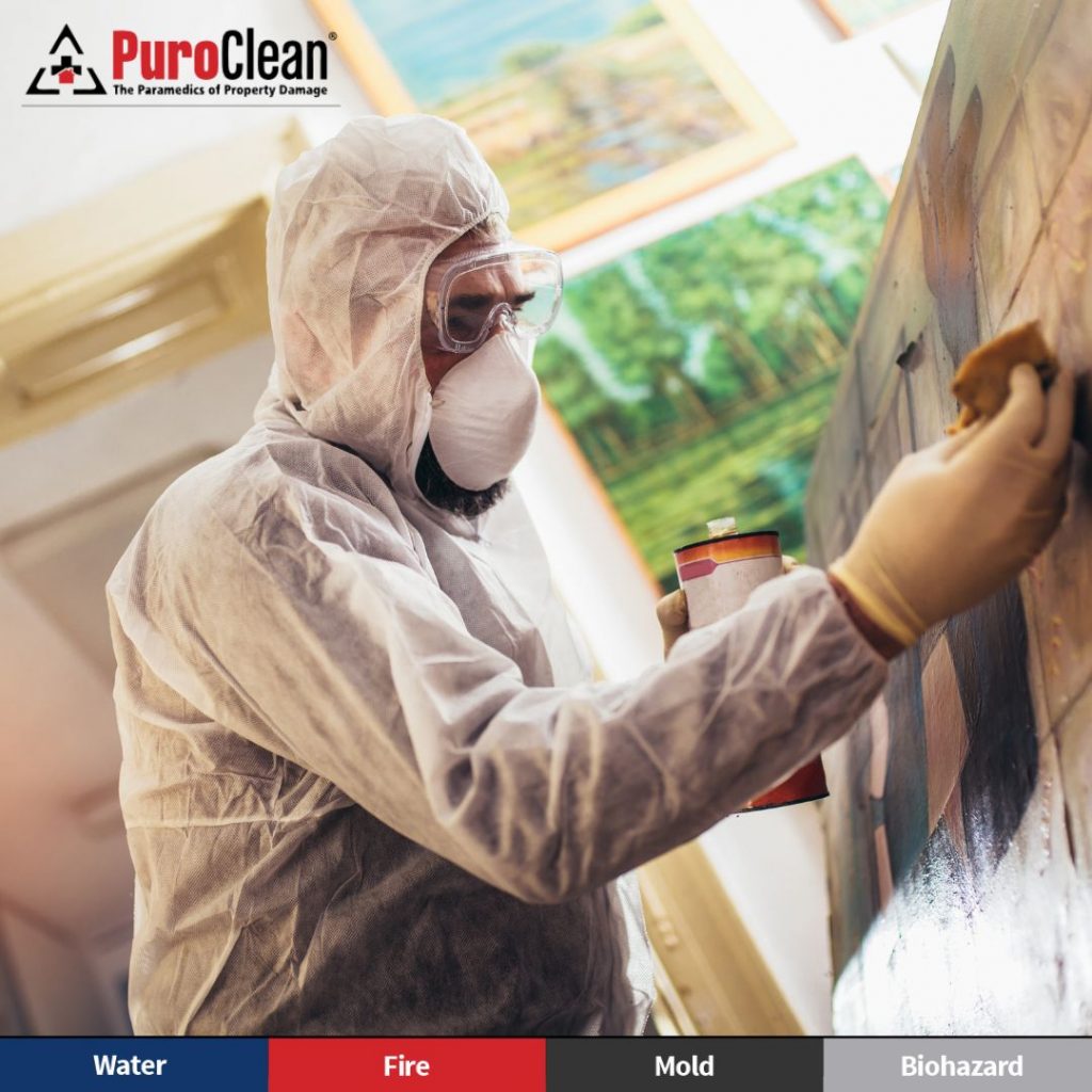 Mold Remediation Technicians at Work in Atlanta | PuroClean North Metro Atlanta