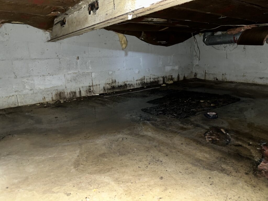 The mold in the basement. Performing mold remediation.