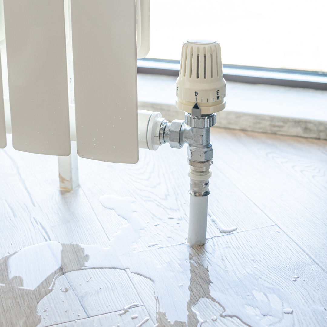 wet wood floor