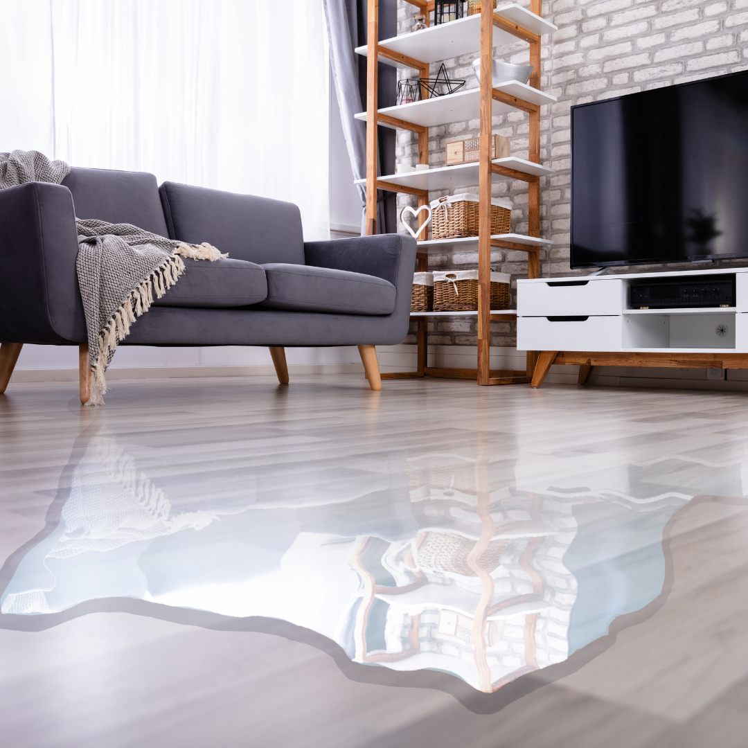 flood in living room