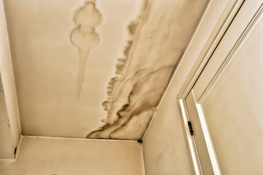 water damage insurance