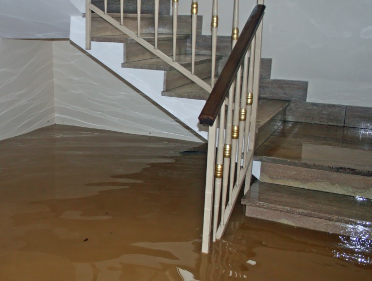 Winter Flooding