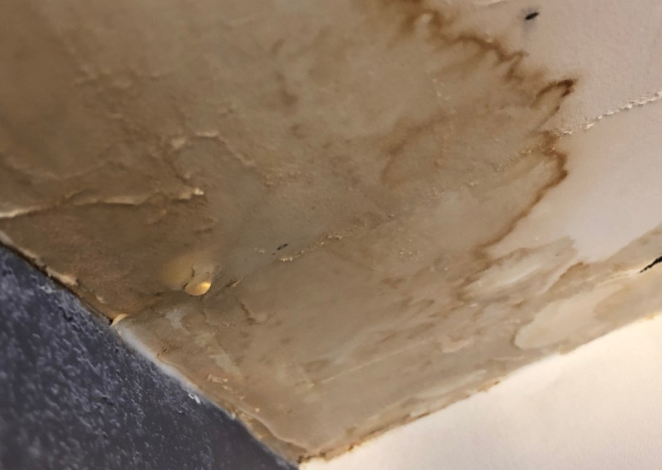 How Long Does Water Need to Sit Before It Causes Permanent Damage