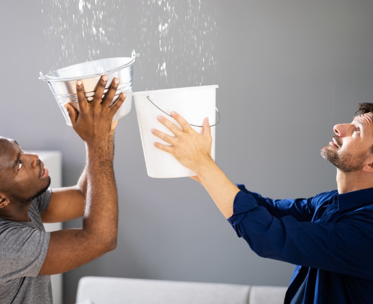 When to Call the Professionals