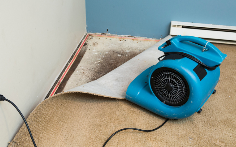 water damage services on a flooded basement