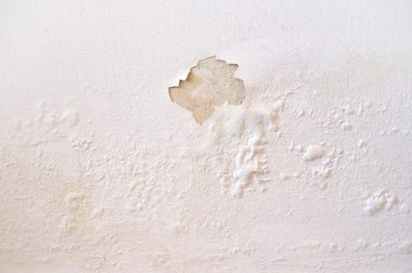 wet walls