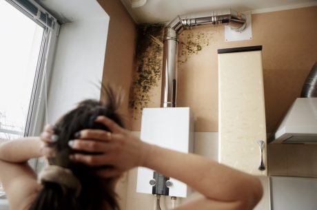 A woman finds mold during her spring cleaning endeavors