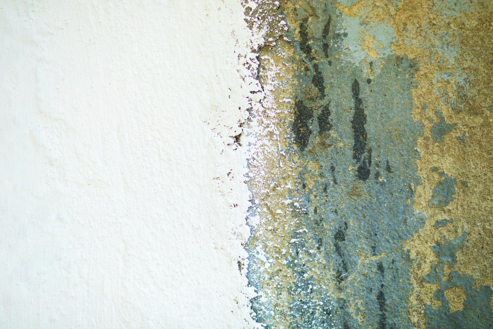 Water Damage and Restauration